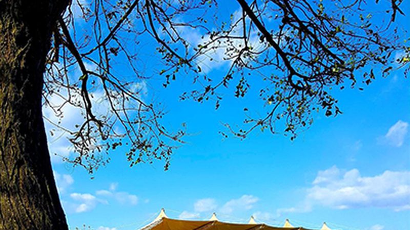 工业级电子模块：解析其优缺点与应用场景