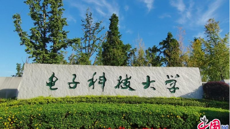 揭秘上海电子配件批发市场的秘密